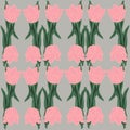 flower tulip spring vector nature tulips flowers floral illustration pink pattern plant card Royalty Free Stock Photo